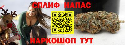 PSILOCYBIN Заводоуковск