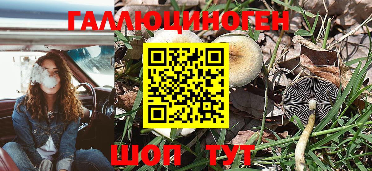 Галлюциногенные грибы прущие грибы Кострома