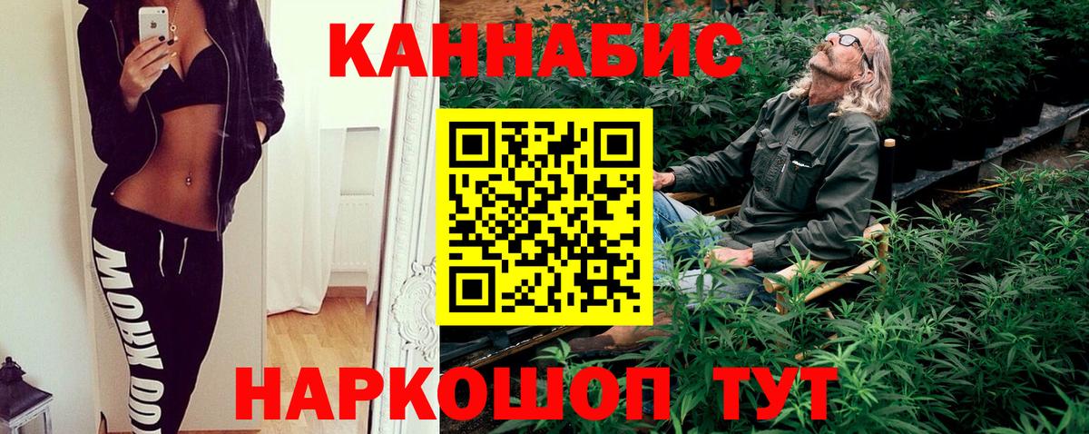 Бошки Шишки план Кострома